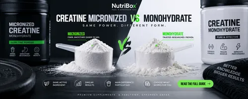 Creatine Micronized vs Monohydrate: What's the Real Difference?
