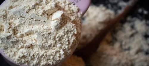 Whey vs Plant Protein: Which Ships Fastest in Doha