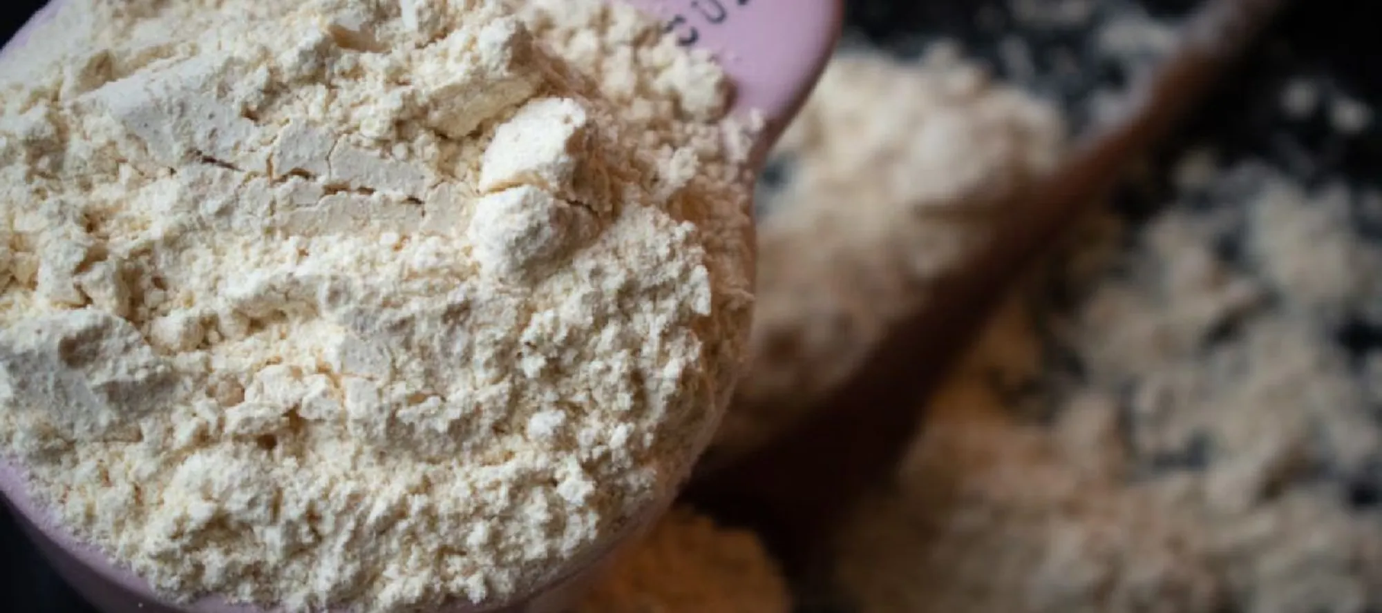Whey vs Plant Protein: Which Ships Fastest in Doha